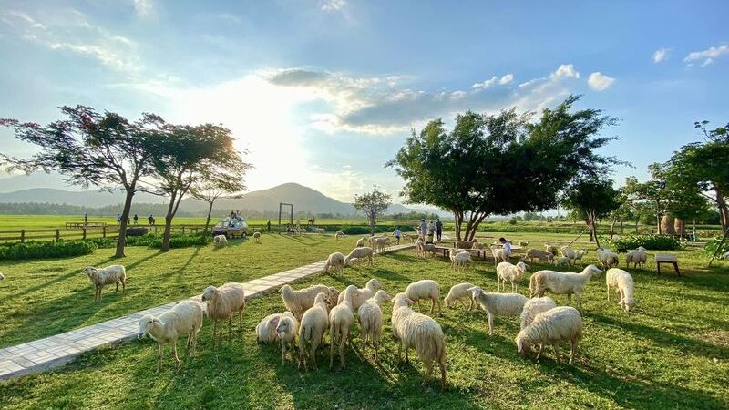 Đồng Cừu Nha Trang