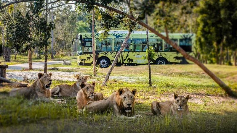 Khu Safari hoang dã