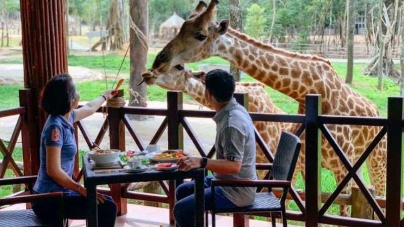 Thời điểm tốt nhất để đến Vinpearl Safari