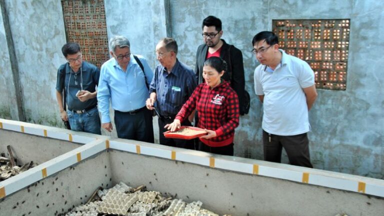 Bài đánh giá trại dế Đà Lạt