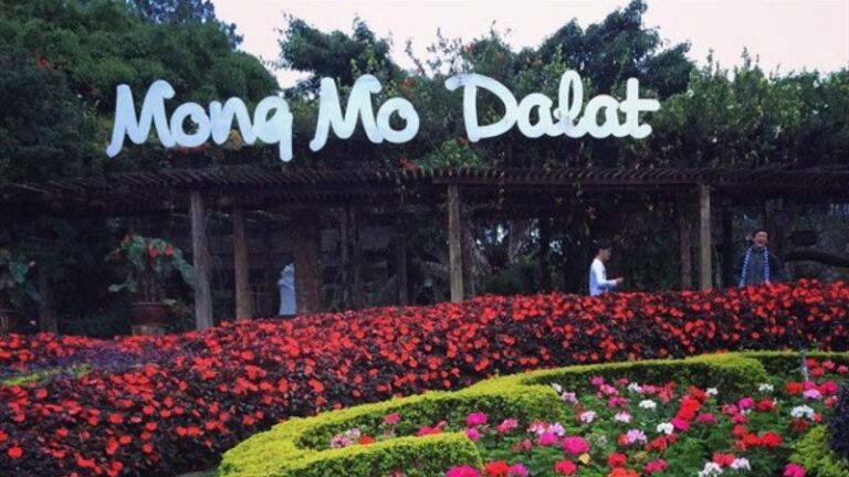 Đồi Mộng Mơ Đà Lạt - Điểm sống ảo không thể bỏ lỡ tại Đà Lạt