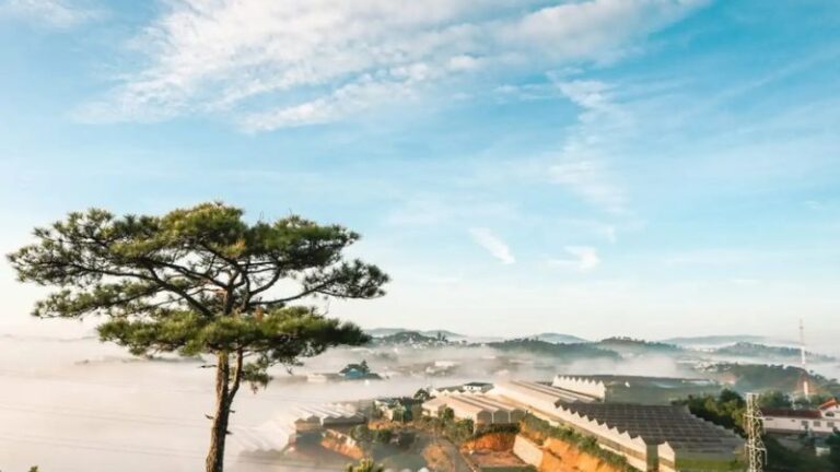 Đồi Thiên Phúc Đức Đà Lạt
