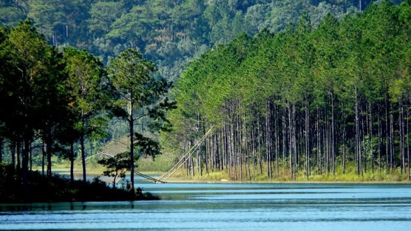 Hồ Tuyền Lâm - Địa điểm du lịch Đà Là cho gia đình đầy yên bình