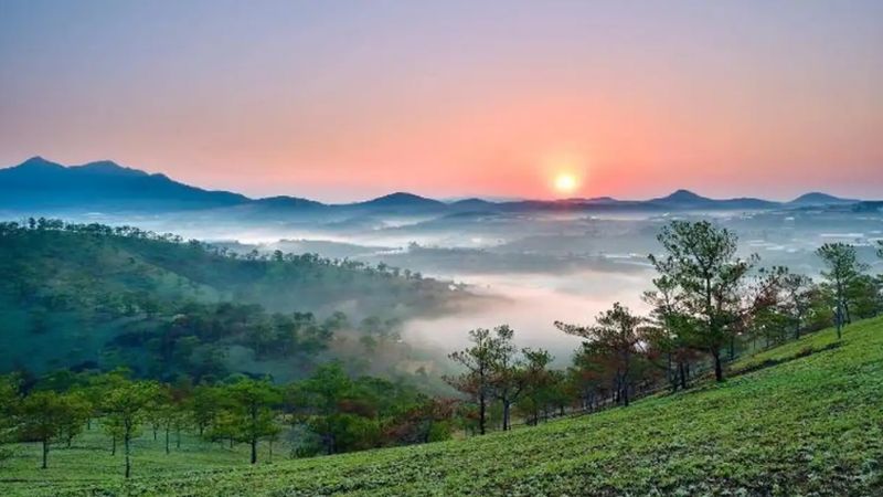 Săn mây ở đồi Du Sinh