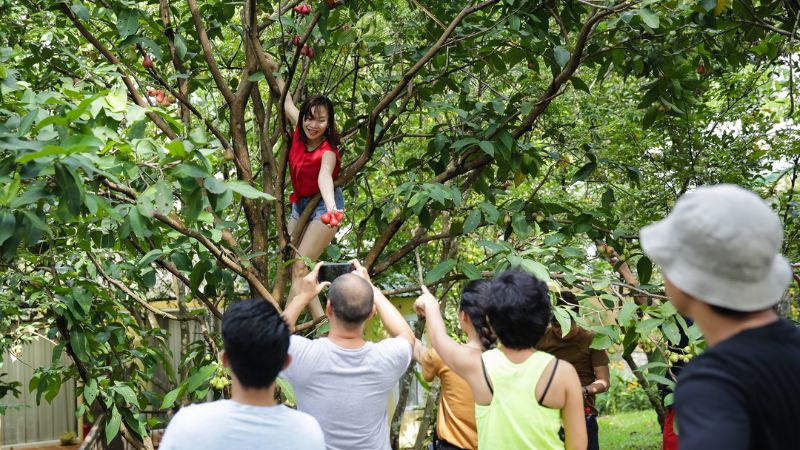 Tham quan khu vườn trái cây nhiệt đới