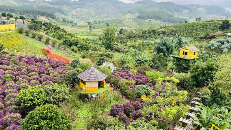 Điểm lý tưởng dành cho những tâm hồn đam mê sống ảo