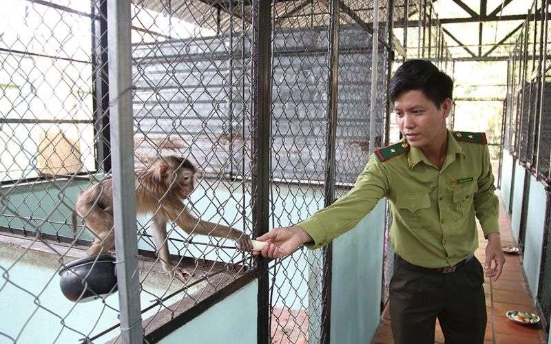 Ghé thăm trạm cứu hộ động vật hoang dã gần khu di tích