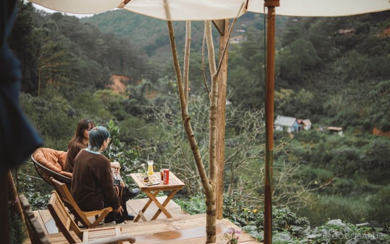 Đôi nét về In The Forest Đà Lạt