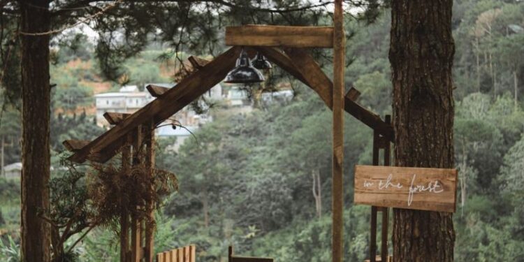 In The Forest Đà Lạt - Điểm hẹn giữa lòng thành phố mộng mơ