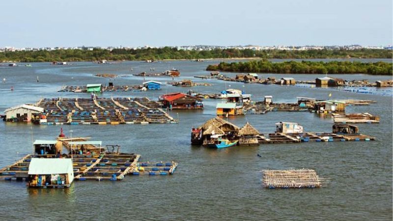 Thăm quan làng bè