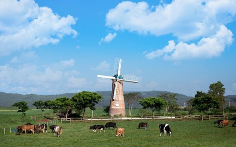 Nông trại Đà Lạt Milk Farm