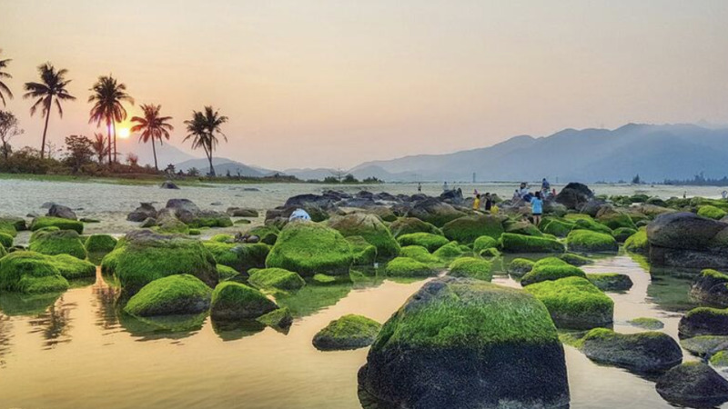 Bãi rạn Nam Ô là điểm đến lý tưởng cho những tâm hồn yêu thiên nhiên