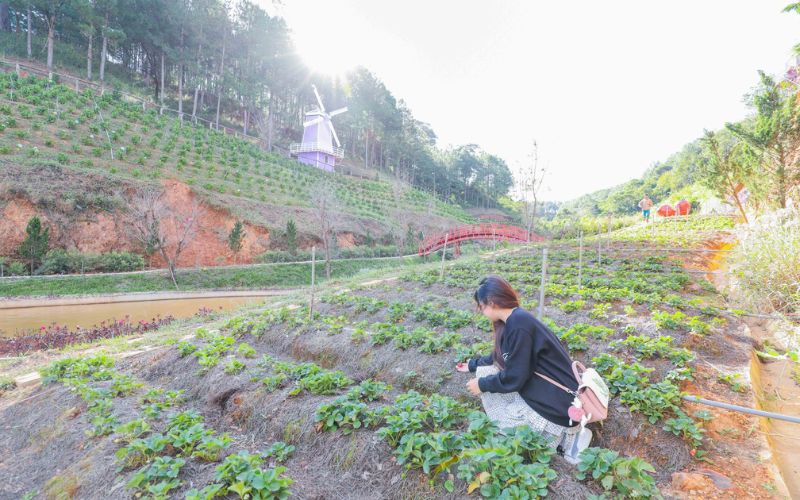 Một số chú ý cần biết khi tham quan quán cafe Thiên Đường Tím