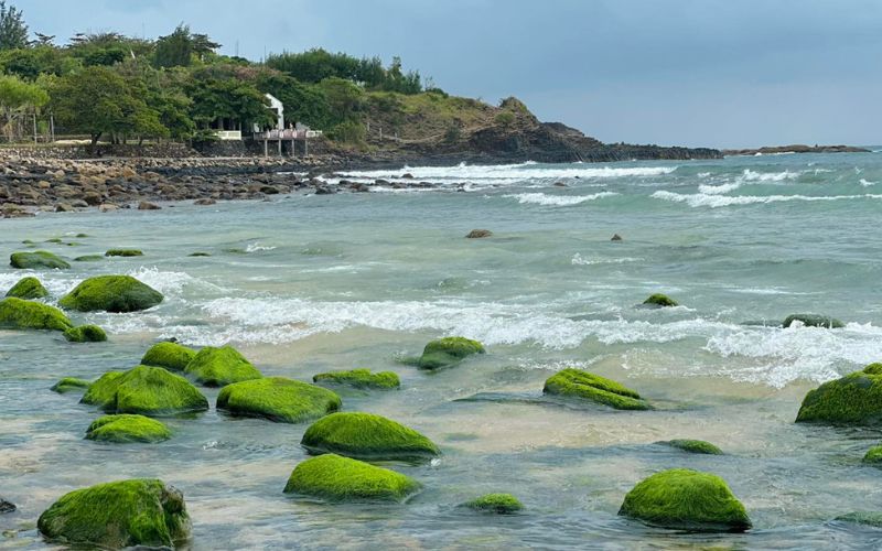 Khung cảnh thiên nhiên mát lành của thảm rêu xanh Bãi Bàng