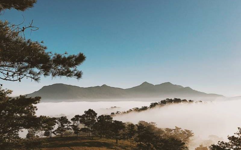 Đồi Đa Phú Đà Lạt