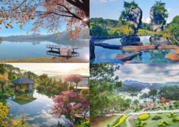 Bỏ túi ngay 25+ cảnh đẹp Đà Lạt cho chuyến du lịch sắp tới