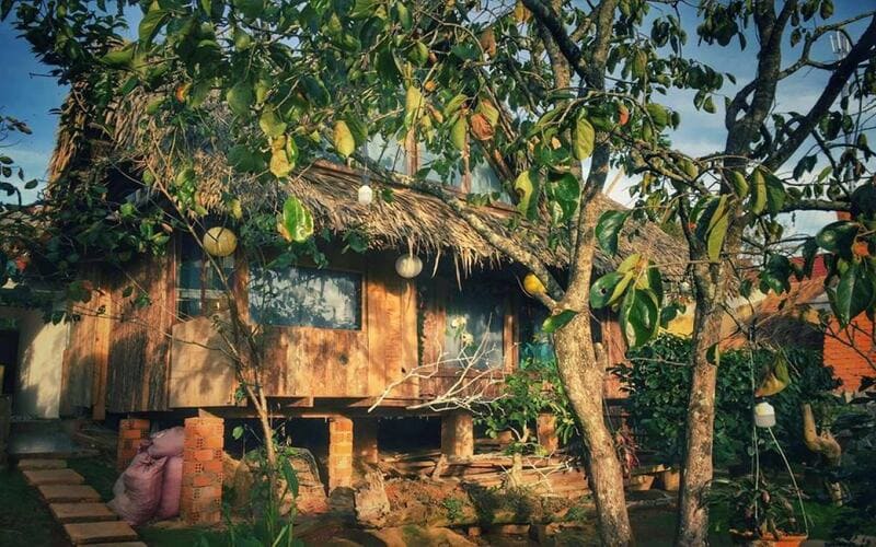 Củi Homestay là cái tên quen thuộc với những ai yêu mến Đà Lạt mộng mơ
