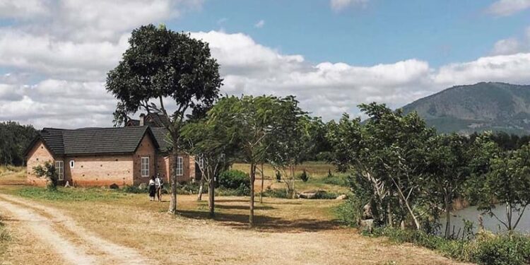 Dalat Milk Farm - Địa điểm check-in vùng ngoại ô Đà Lạt 4 Trang trại bò sữa Đà Lạt – Dalat Milk Farm