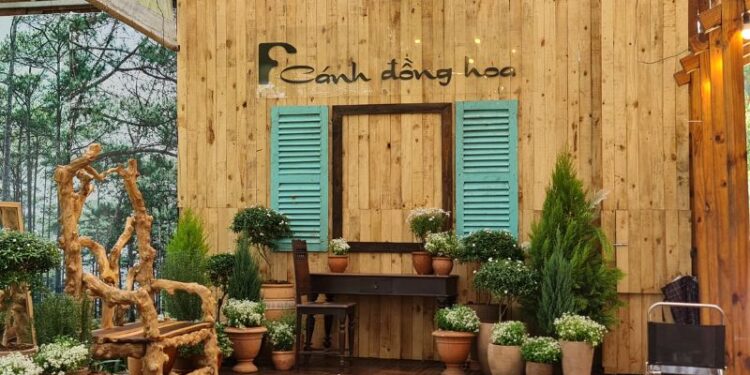 F Cafe Cánh Đồng Hoa -  Điểm đến thơ mộng trên đèo Mimosa