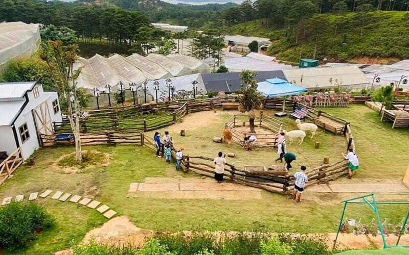 Đến với Frenzy Farm Đà Lạt, du khách có đa dạng các hoạt động vui chơi