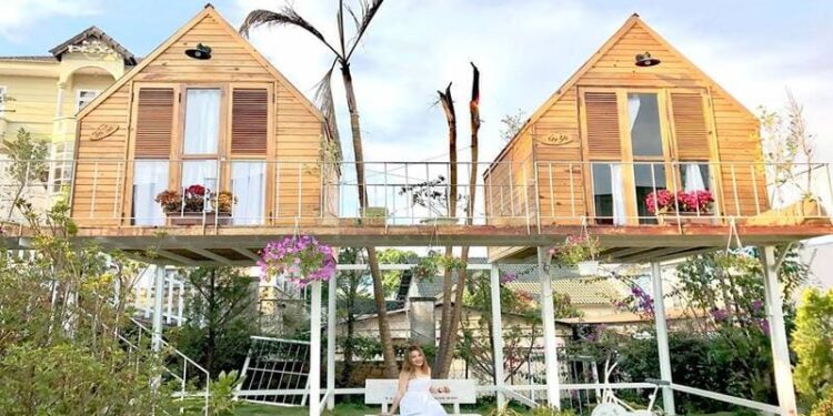in the pines homestay đà lạt