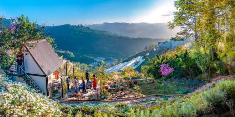 lengkeng dalat homestay