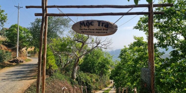 Mộc Trà Farm - Địa điểm check-in siêu HOT được giới trẻ săn đón 14 Mộc Trà Farm
