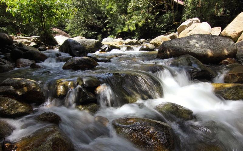 Suối Đá Bàn hấp dẫn không ít du khách ghé thăm hàng năm