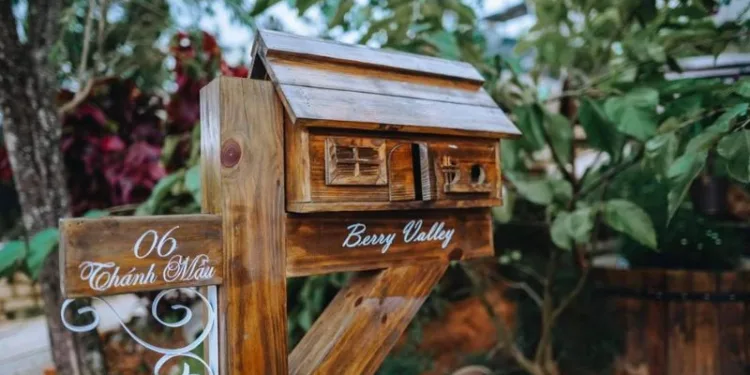 Bài đánh giá Berry Valley Homestay Đà Lạt