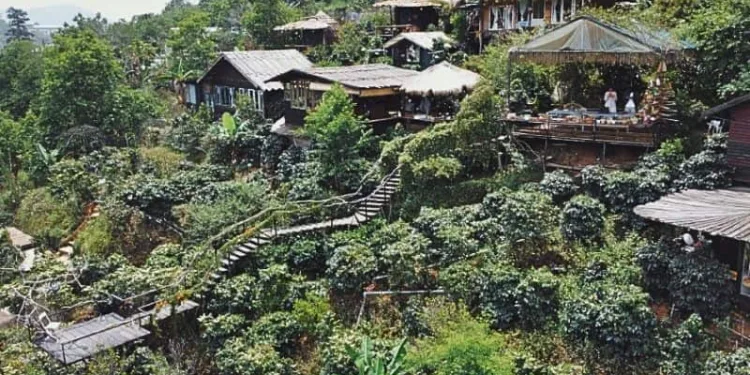 Nhận xét về Cú Trên Cây Homestay Đà Lạt