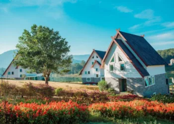 Đà Lạt Wonder Resort có dịch vụ như thế nào?