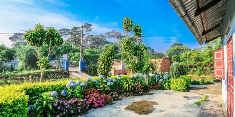 Bài đánh giá Dalat Chocolate Homestay