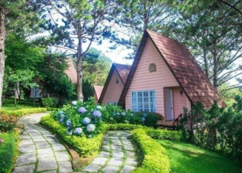 Bạn có nên chọn Dreaming Hill Resort Đà Lạt để làm nơi dừng chân?