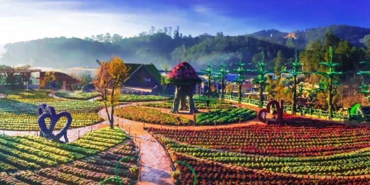 Lịch trình du lịch Đà Lạt 1 ngày