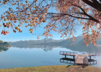 Nên đi du lịch vào mùa nào thì đẹp nhất?