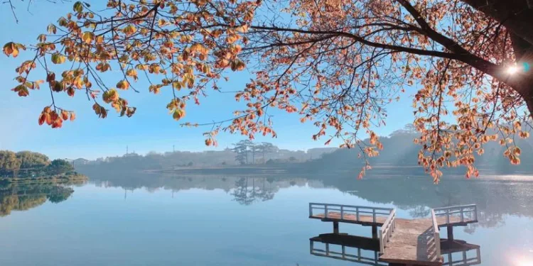 Đi du lịch Đà Lạt mùa nào đẹp? Kinh nghiệm du lịch hữu ích 6 Nên đi du lịch vào mùa nào thì đẹp nhất?