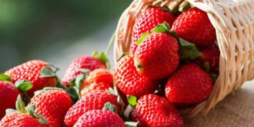 Hành trình từ quả chín đến những viên kẹo dâu tây đặc sản Đà Lạt