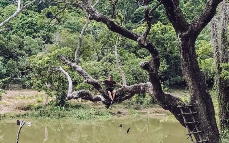 Nhất Lâm Thủy Trang Trà nằm cách trung tâm Đà Nẵng khoảng 10km