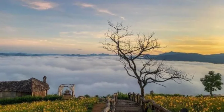 Lịch trình du lịch Đà Lạt 1 ngày, 2N1Đ, 3N2Đ, 4N3Đ tự túc cực rẻ