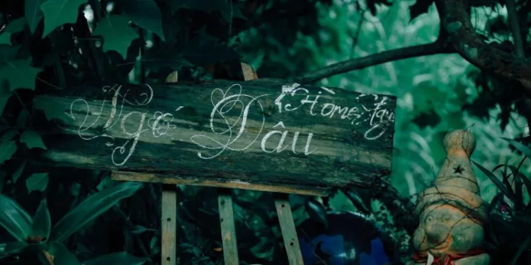 Review Ngó Dâu Homestay Đà Lạt