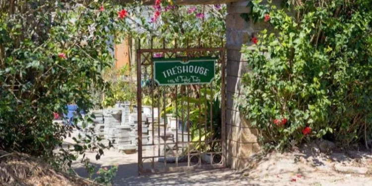 Nhà của Tre Homestay Đà Lạt - Nơi nghỉ dưỡng thiên nhiên, mộc mạc 5 Bài đánh giá Nhà của Tre Homestay Đà Lạt