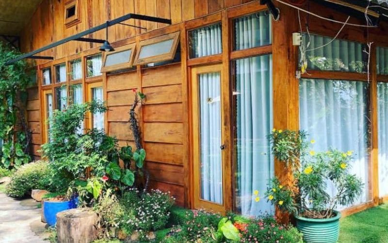 Homestay Nomini Đà Lạt nằm giữa vẻ đẹp hoang sơ của núi rừng