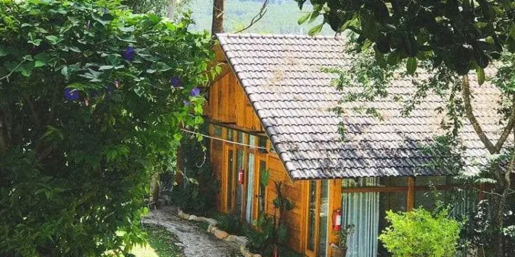Nomini homestay Đà Lạt - Căn nhà gỗ giữa rừng thông 4 Review Nomini Homestay tại Đà Lạt