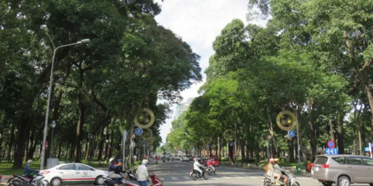 Review công viên 30/4 Sài Gòn
