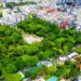 Dạo mát tại công viên Lê Văn Tám