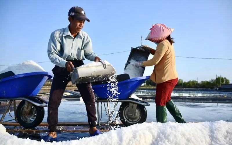 Khám phá làng làm muối ở Thiềng Liềng