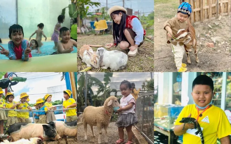 Baby Farm là một khu vui chơi trẻ em ở Đà Nẵng mang phong cách nông trại