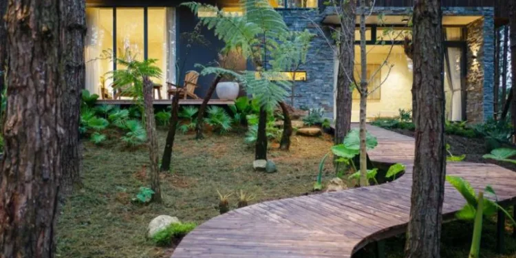 Không gian xanh mát tại Mơ Stay Resort Đà Lạt