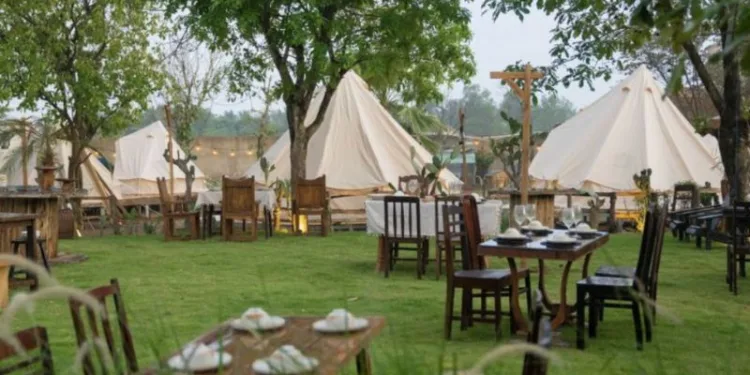 Review chi tiết về Savora Farm Glamping