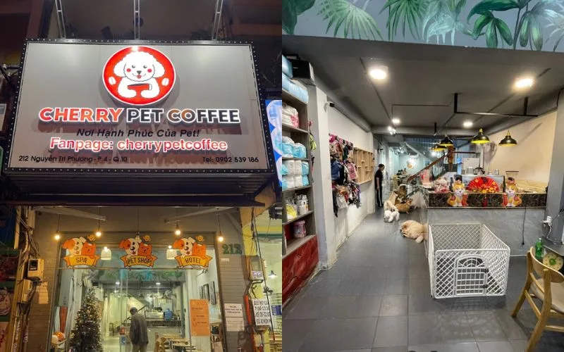 Cherry pet coffee gây ấn tượng với không gian rộng rãi, được chia thành các tầng riêng biệt dành cho chó và mèo